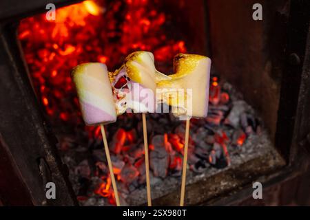 Three marshmallows on wooden skewers over red burning coal background Stock Photo