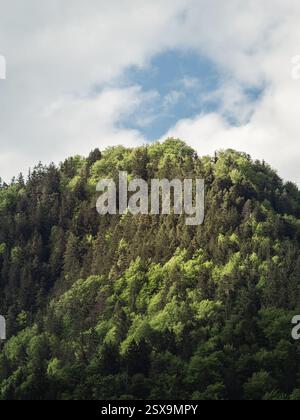 A breathtaking view of a mountain covered in dense green forest under a partly cloudy sky. Sunlight highlights the treetops, creating a contrast betwe Stock Photo