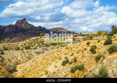 Olive groves and mountains around Ghost Town, Pentedattilo Village, Calabria, Italy, Europe Stock Photo