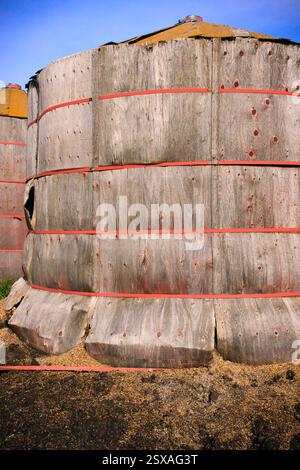 Large wooden barrel with red stripes is sitting on the ground. The barrel is old and has a rustic appearance Stock Photo
