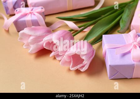 Gift boxes and pink tulips on beige background Stock Photo