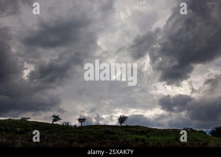 Storm clouds over bleak moorland, Cuilcagh, Co. Fermanagh, Ireland Stock Photo