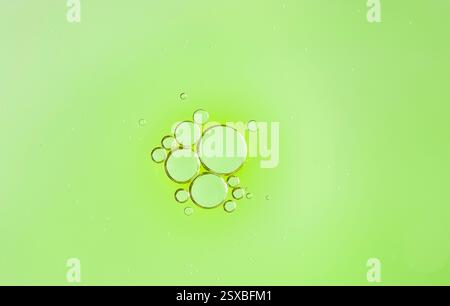 Abstract white bokeh lights scattered across a soft green background. Background for environmental projects. macro photo Stock Photo