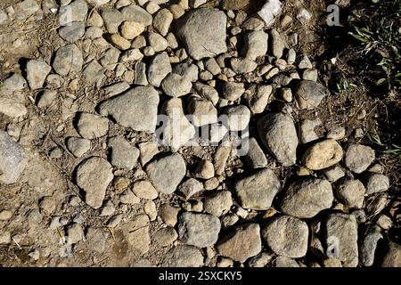 abstract texture background of small soft colored stones Stock Photo