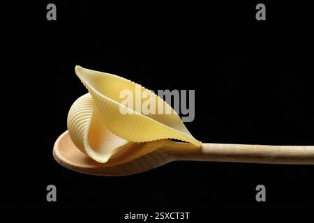 Conchiglione, Italian pasta variety on cooking spoon in front of black background, Italy, Europe Stock Photo