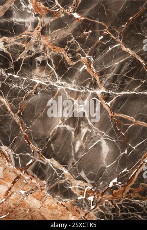 Dark marble with prominent brown veins and intricate textured patterns, stone, natural stone, stone structure Stock Photo