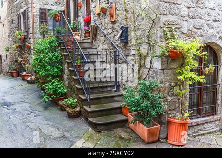 Green plants and flowers on a staircase at a backyard Stock Photo