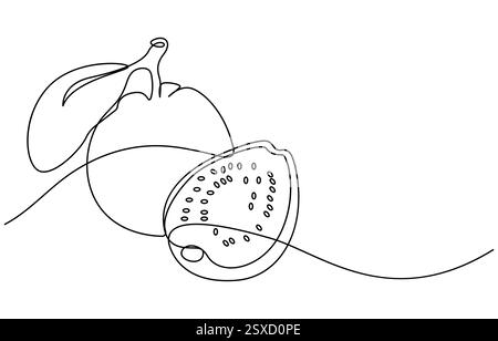 Single continuous line drawing whole and half sliced healthy organic java guava for orchard logo identity, Single one line drawing fruits concept Stock Vector