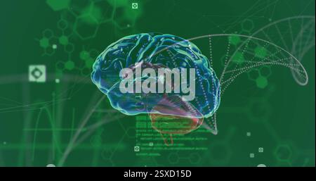 Image of rotating brain over medical data processing on green background Stock Photo
