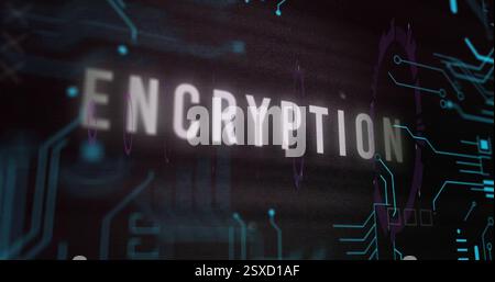 Image of encryption text and data processing over black background Stock Photo