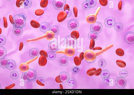 Clostridium tetani bacteria, illustration Stock Photo - Alamy