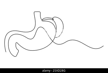Single continuous line of Stomach. Line art of Stomach human organ Stock Vector
