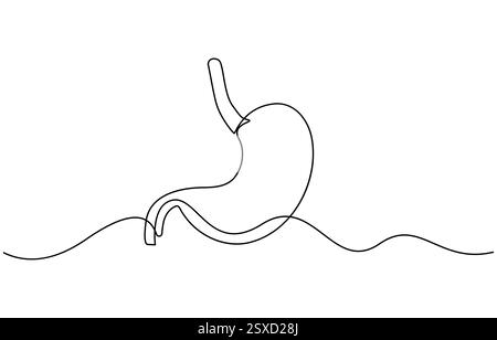 Single continuous line of Stomach. Line art of Stomach human organ Stock Vector