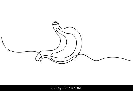 Single continuous line of Stomach. Line art of Stomach human organ Stock Vector