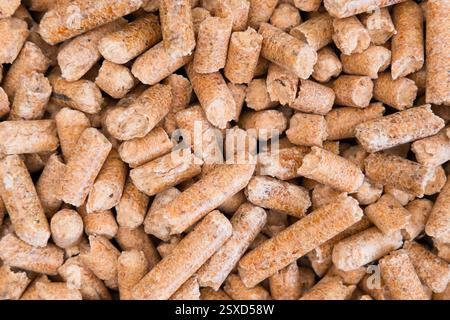 Wood pellet cat litter as background, close up. Stock Photo