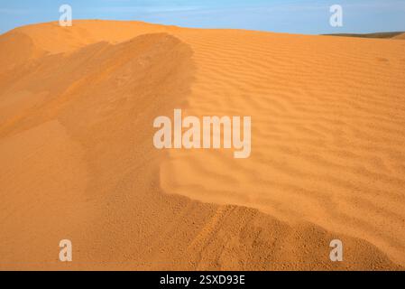 Desert sands in the Republic of Kalmykia, Russia Stock Photo