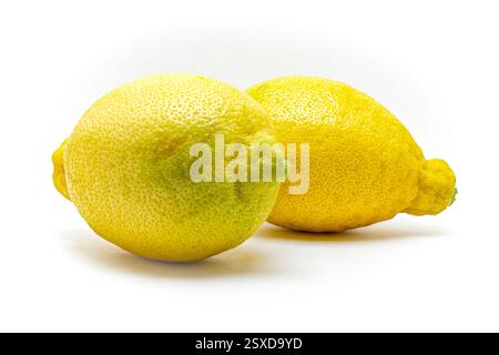 two LemonS isolated on white background Stock Photo