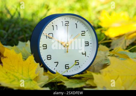 Autumn time. Alarm clock among fallen leaves, closeup Stock Photo