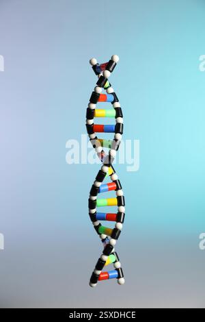 One DNA structure model on color background Stock Photo