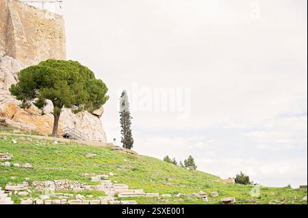 Scenic view with trees and greenery in Athens, Greece Stock Photo