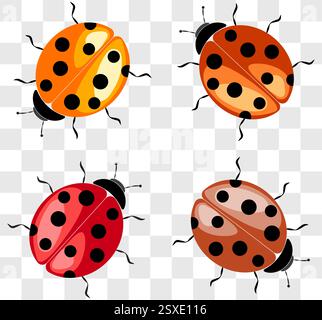 Colorful vector illustration of ladybugs in various colors and patterns on a transparent background Stock Vector