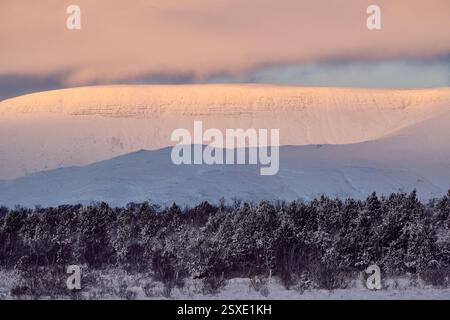 Snowy mountains and forest reflecting pink sunrise glow Stock Photo