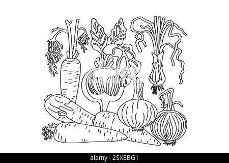 Line art set of vegetables isolated on white background. Hand drawn outline black and white botanical carrots, onions, beets vector illustration. Grap Stock Vector