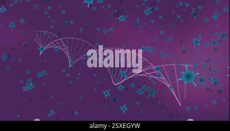 Image of dna strand over blue virus cells on purple background Stock Photo