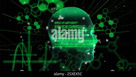 Image of scientific data processing and human head Stock Photo