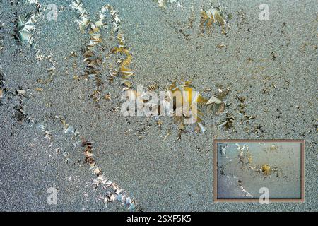 Window Frost with inset Stock Photo