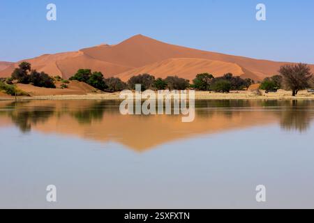 Water in the pan at Sossusvlei, after a rare very wet rainy season, in the Namib desert. Stock Photo