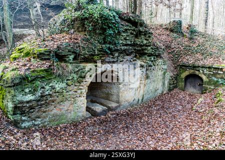 Two openings cut into a sandstone formation form a rock cellar at Neuenberg in Forchheim's Kellerwald. Moss and ivy overgrow the rock above, autumn leaves covering the ground in front. The Kellerwald comprises 23 such rock cellars across roughly 20,000 square metres. The first cellars are documented from 1691. Am Neuenberg, Forchheim, Bavaria, Germany. Stock Photo