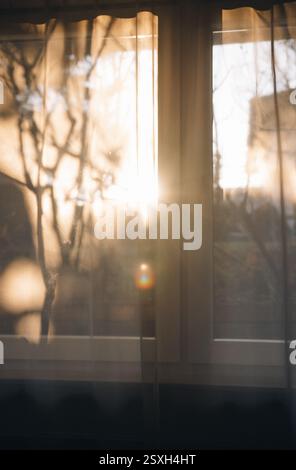 Перейти к странице |12Далее The sun shines through the window curtain against the background of trees. The shadows from the trees are reflected on the Stock Photo
