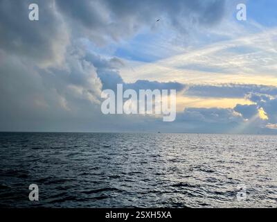 Seagulls flying over the Turkish Gulf in Izmir city Stock Photo
