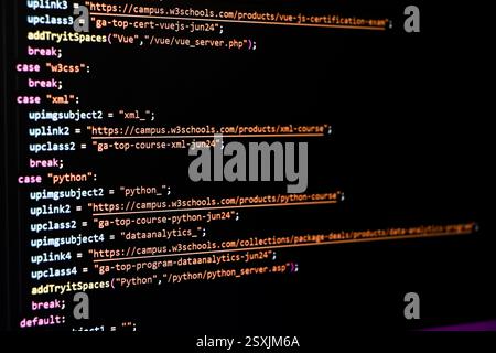 Software source code. Programming code. Programming code on computer screen. Developer working on program codes in office. Source code photo. Technolo Stock Photo