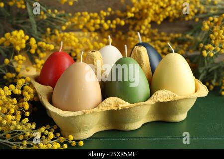 Colorful egg-shaped candles in carton and mimosa flowers on green wooden table, closeup. Easter decor Stock Photo