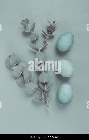 Composition of eucalyptus leaves and turquoise colored eggs, on a gray background, Easter card, top view, no people Stock Photo