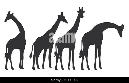 Wild Animal Long Neck Giraffe Silhouette. Black Giraffe Silhouette on White Background. Stock Vector