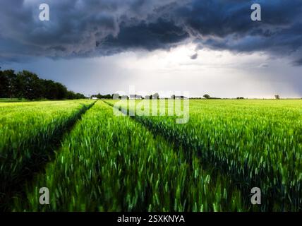 Dark rain cloud with storm over a green field with path Stock Photo