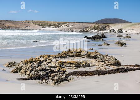 Landscape, Pebble Island, Falkland Islands Stock Photo