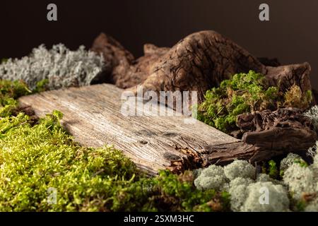 Abstract northern nature scene featuring a composition of lichen, moss, and dry snags. Position your product on an old wooden podium. Copy space. Stock Photo