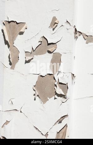 Peeling plaster on a white house wall, Germany Stock Photo
