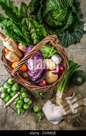 Assorted autumn and winter vegetables on kitchen table, harvesting and self-sufficiency Stock Photo