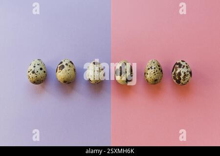 Six quail eggs in a row on pastel background, top view, Easter Stock Photo