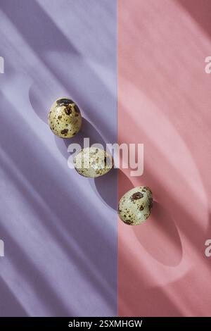 Three quail eggs on pastel background, top view, Easter Stock Photo