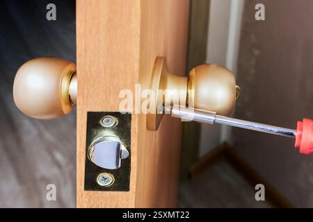 Door knob installation reveals technician securing rose plate to wood door using screwdriver, showcasing typical hardware assembly over aligned mortis Stock Photo