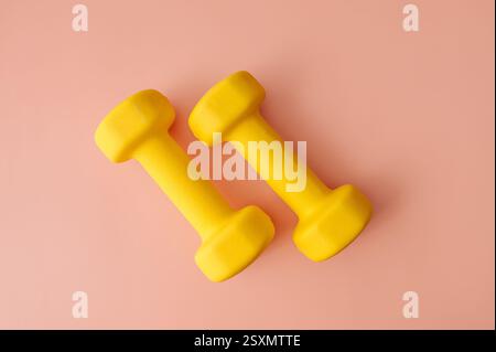 Two dumbbells on pink background, flat lay. Stock Photo