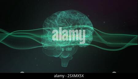 Image of network of connections over brain on black background Stock Photo