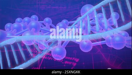 DNA strand and molecular structure image over scientific data and equations Stock Photo
