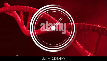 Image of moving clock over dna strand on red background Stock Photo